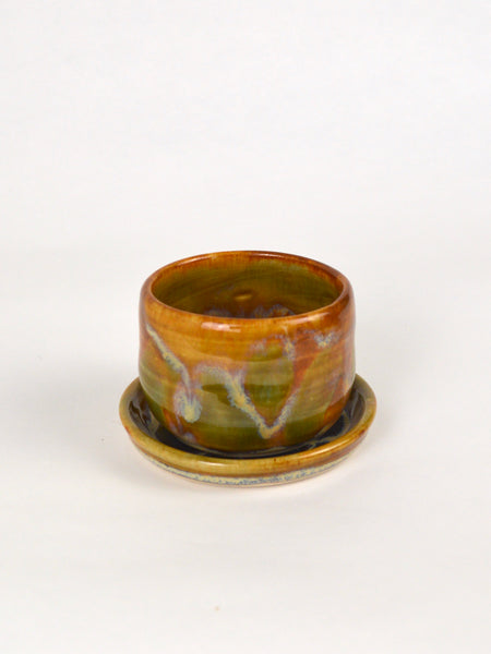 Small Cactus Planter