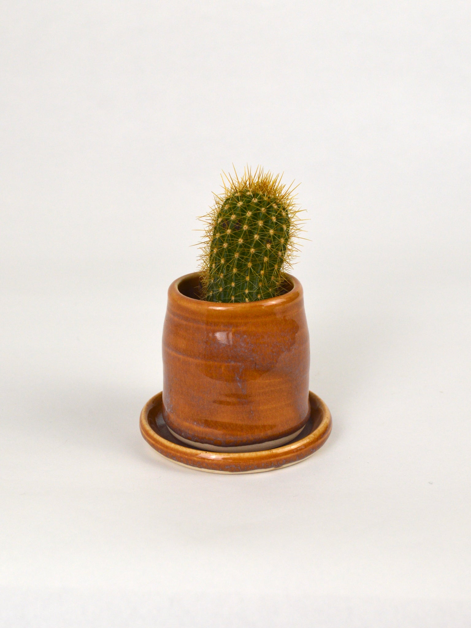 small pot planter Lil Cactus Planter – Badlands Goods