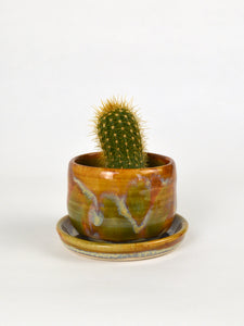 cute cactus plant pot Small Cactus Planter – Badlands Goods