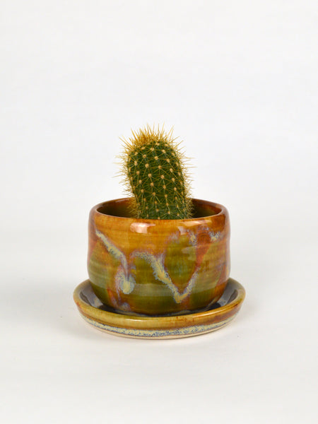 Small Cactus Planter