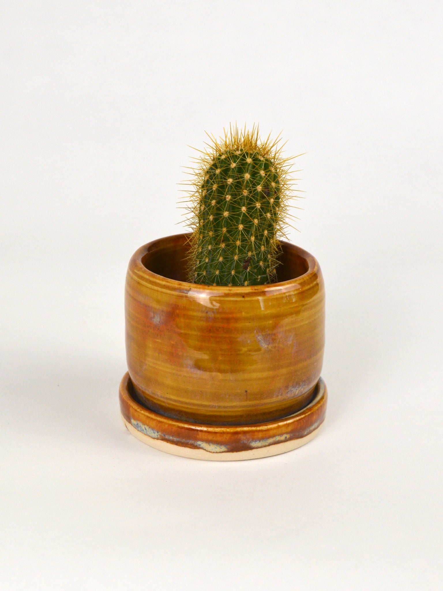 Small Cactus Planter – Badlands Goods