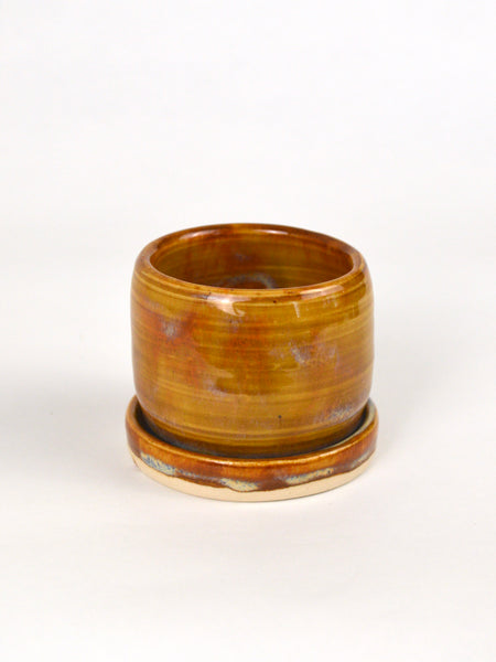 Small Cactus Planter