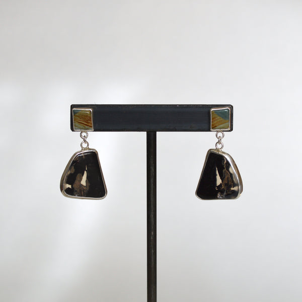 Jasper and Petrified Wood Earrings