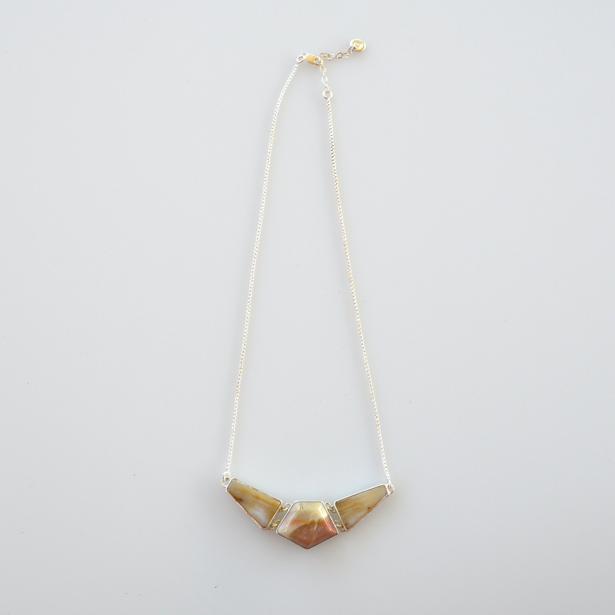 Jasper and Petrified Wood Necklace